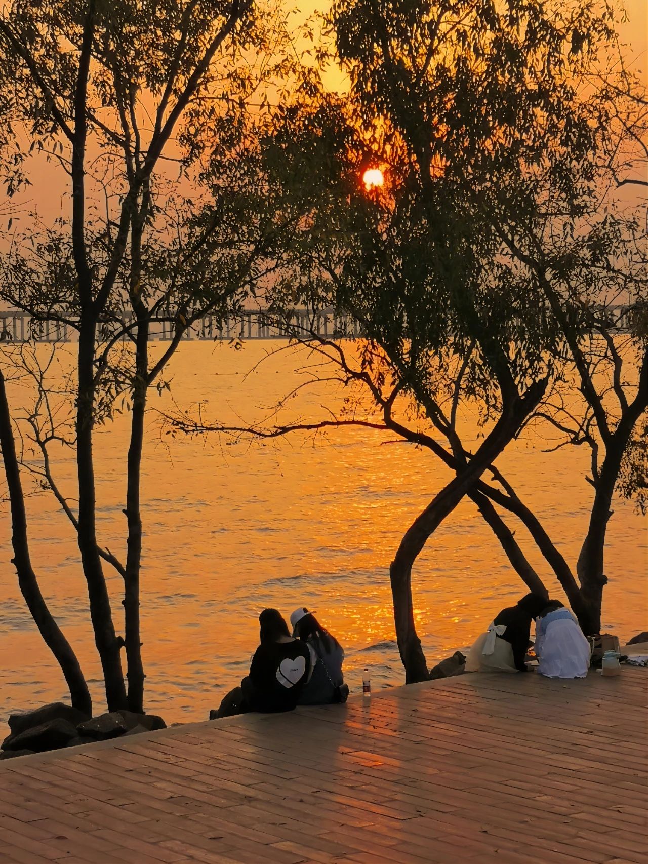 go to Xiban Mangrove to see the sunset on the sea.